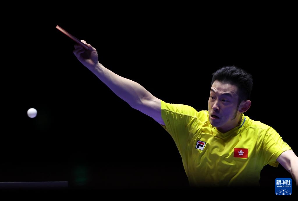 出色的左后 出色的左后